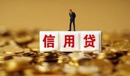 成都金堂县哪里可以民间借贷-成都金堂县私人借钱当天拿钱-成都金堂县贷款联系电话