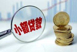 成都金堂县正规短借-成都金堂县民间借贷无视黑白-成都金堂县身份证办理贷款